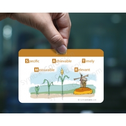 SMART coach card (8 pieces)